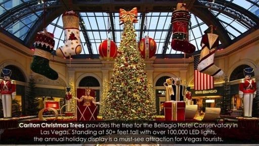 Bellagio Hotel Tree