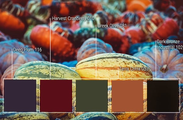 Fall Color Inspiration