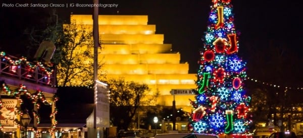 Old Sac tree-1