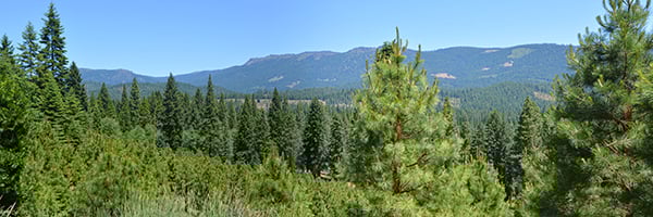 Spring Garden Tract Panorama_small